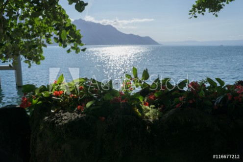 Picture of Romantic scenery over Lake Geneva